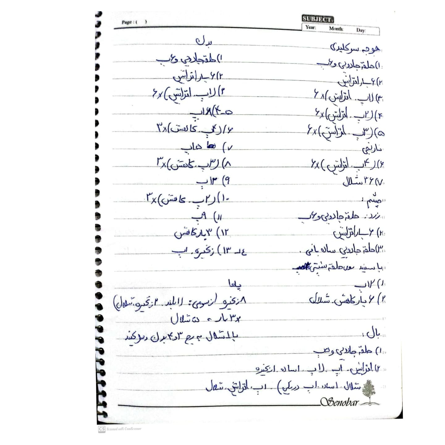 دستور بافت جوجه اردک سرکلیدی