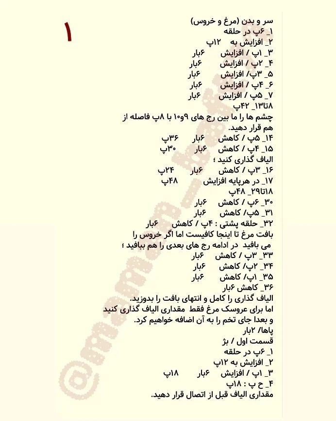 دستور بافت خانواده مرغی با ترجمه اختصاصی