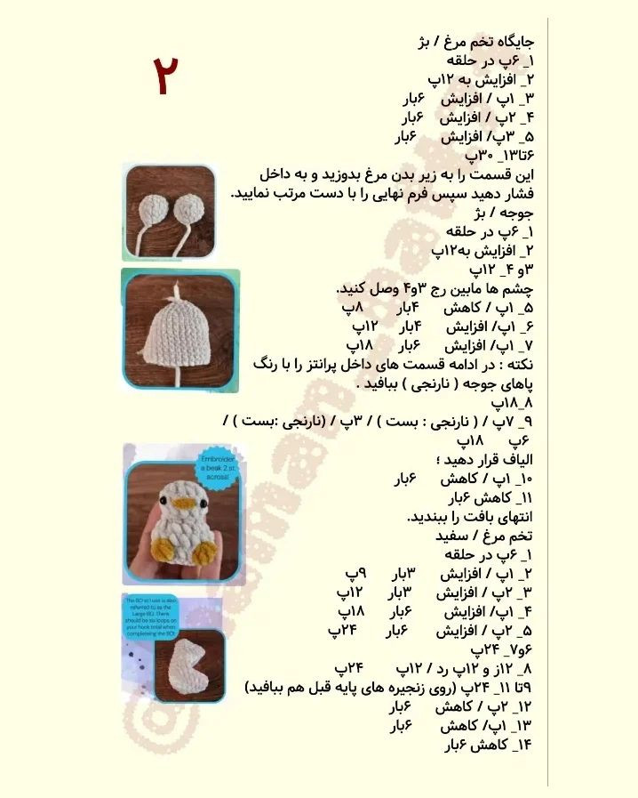 دستور بافت خانواده مرغی با ترجمه اختصاصی