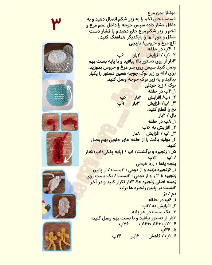 دستور بافت خانواده مرغی با ترجمه اختصاصی