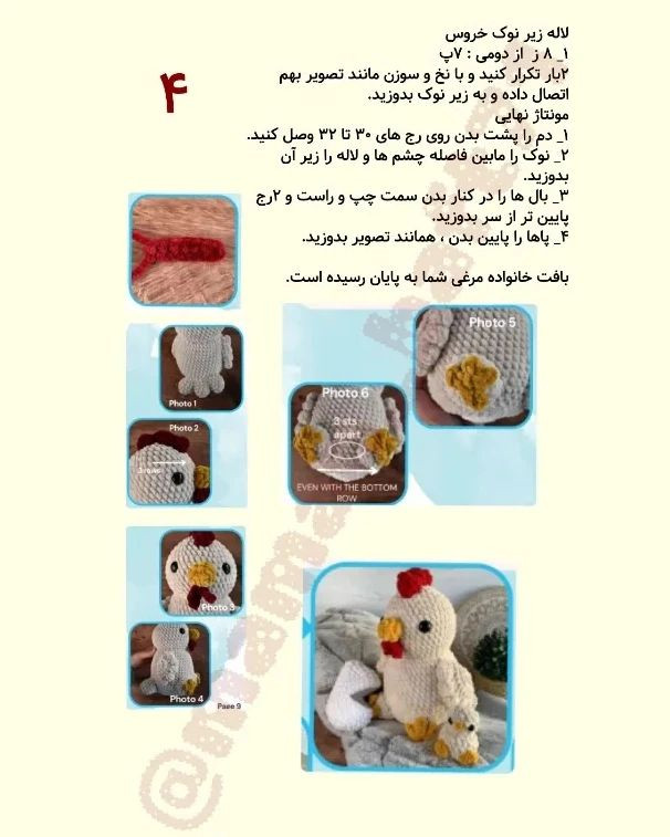 دستور بافت خانواده مرغی با ترجمه اختصاصی