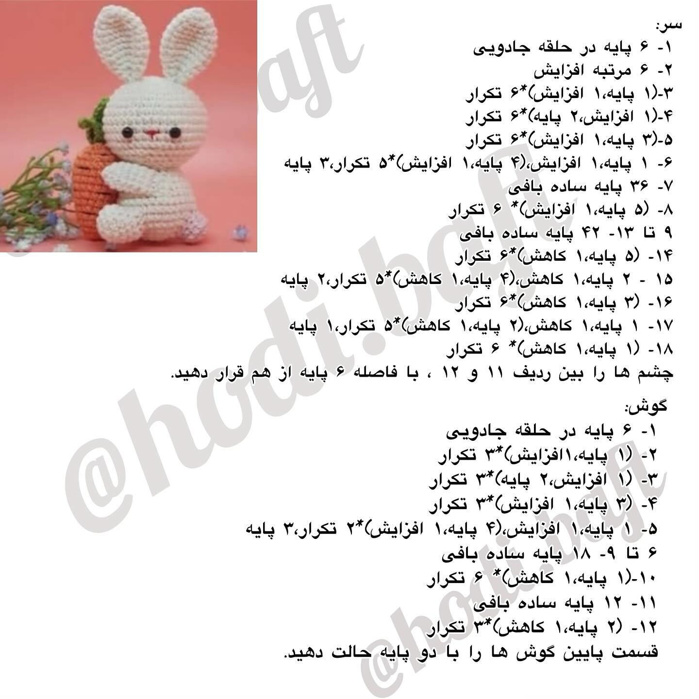 دستور بافت خرگوش هویجی