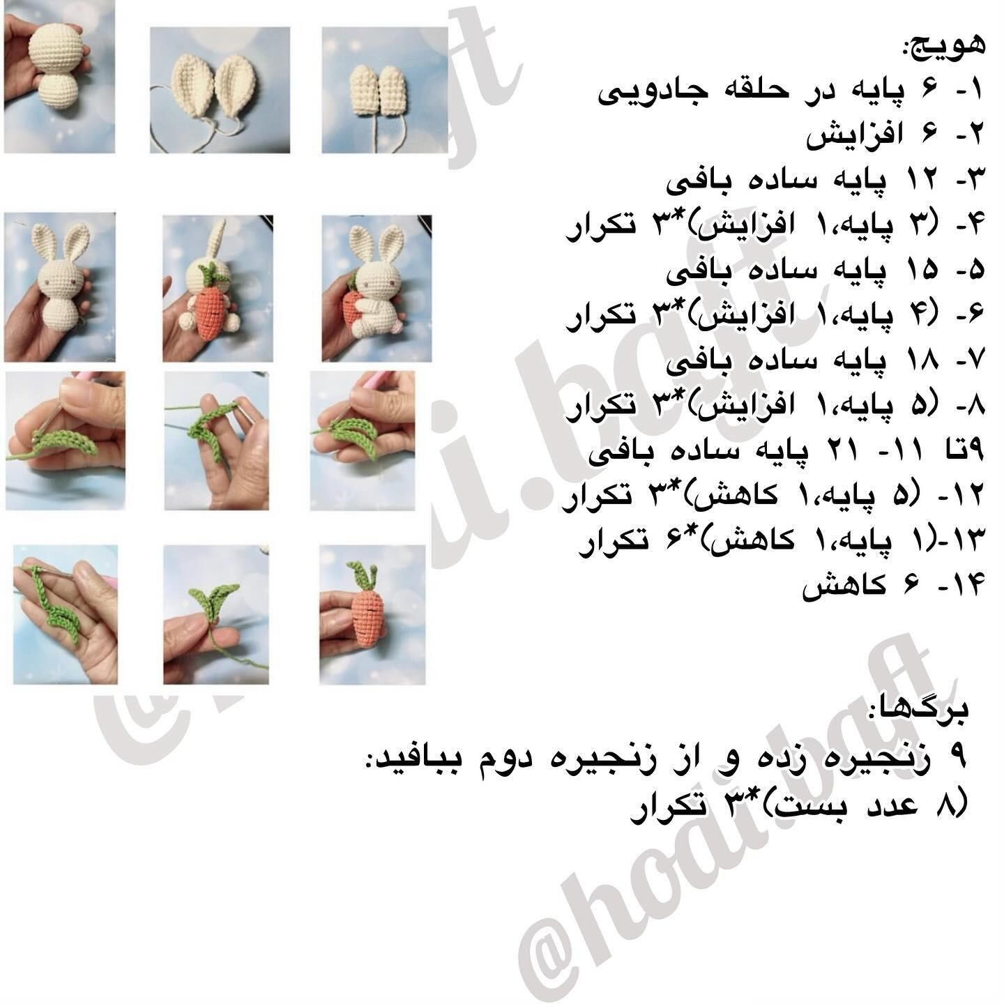 دستور بافت خرگوش هویجی