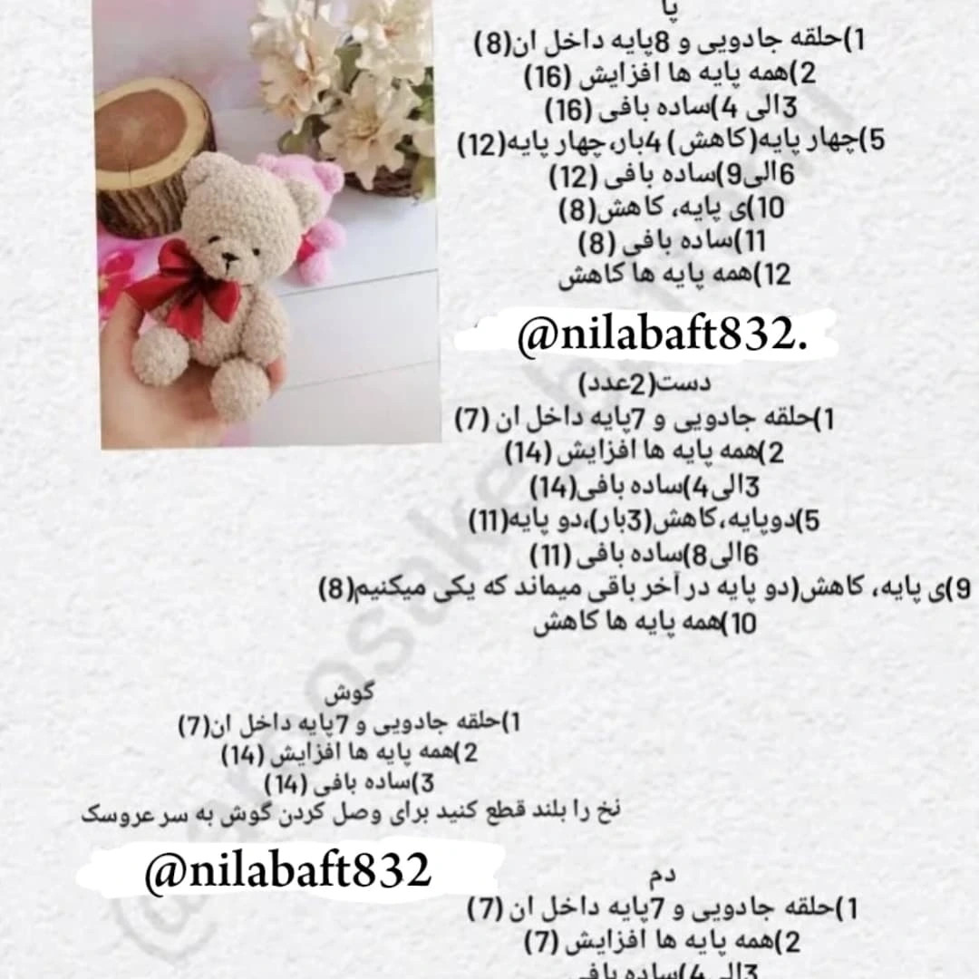 دستور بافت خرس پشمی