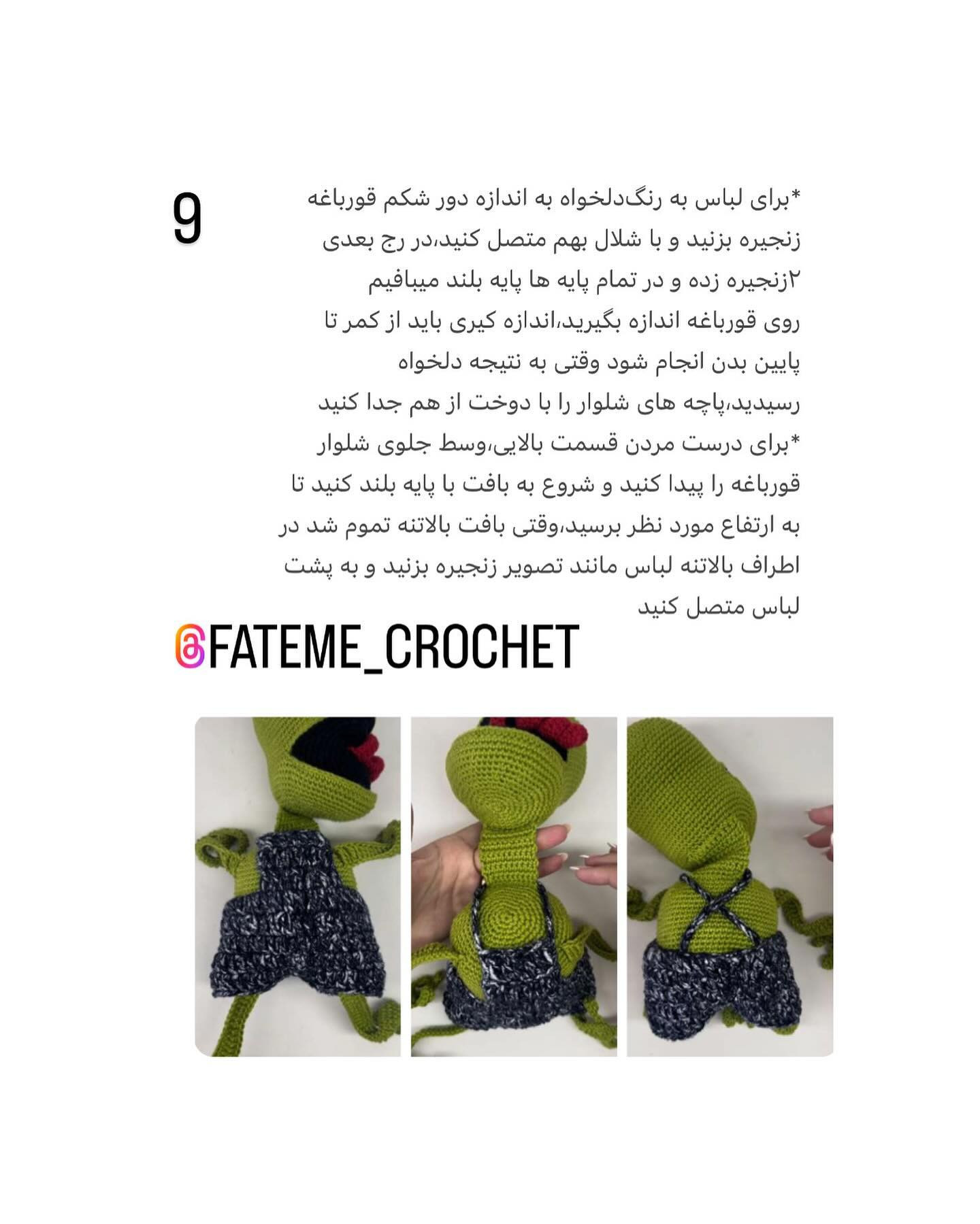 دستور بافت قورباغه ترمزگیر