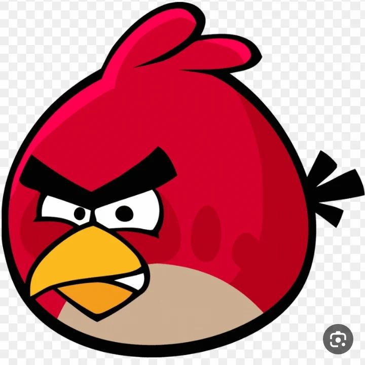 دستور بافت پرنده خشمگین قرمز