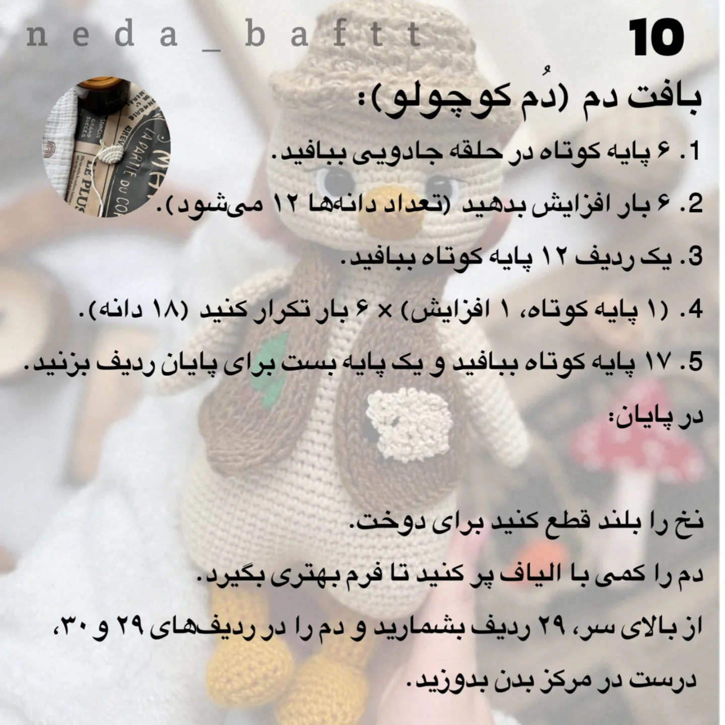 دستور بافت رایگان جوجه