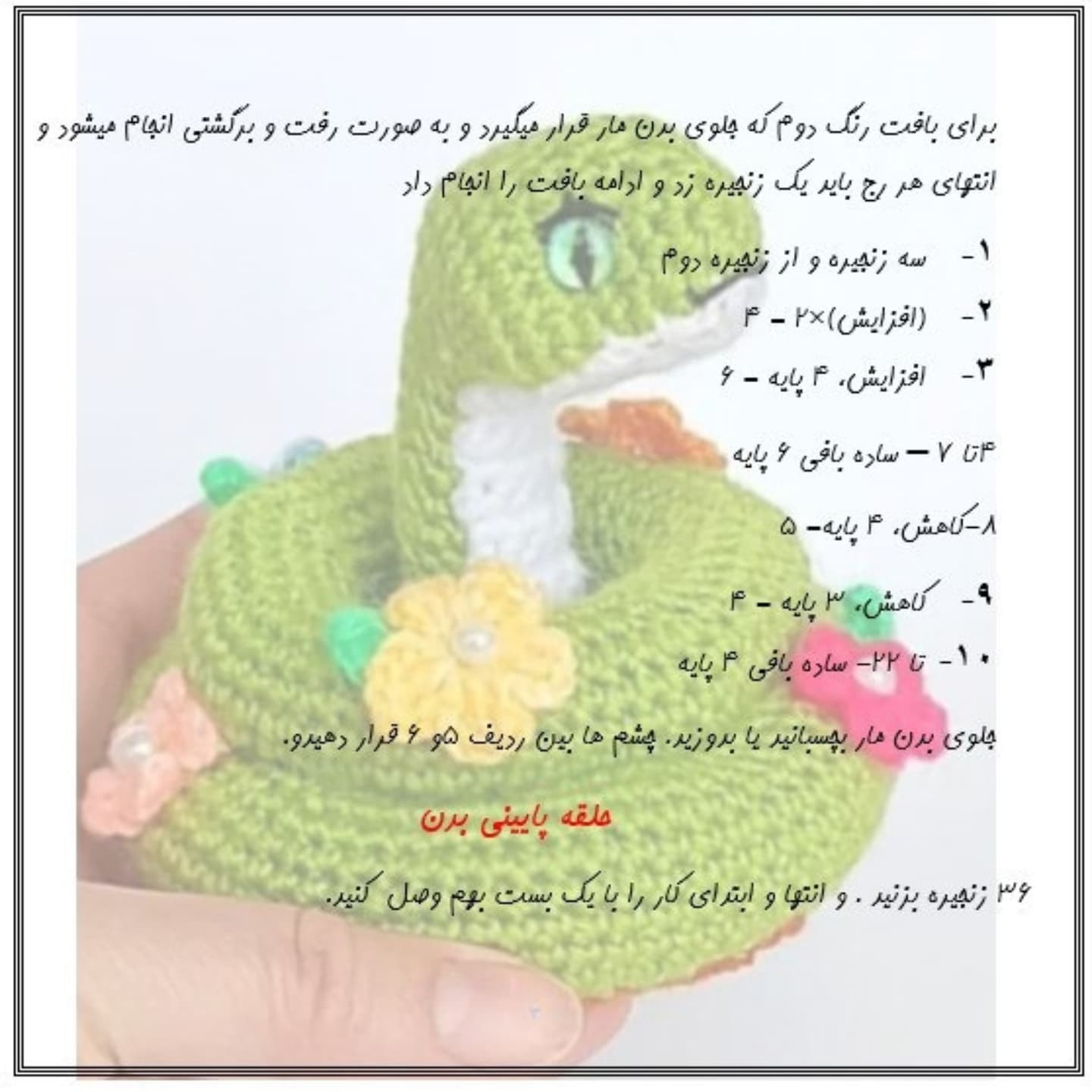 دستور بافت رایگان مار حلقه ای
