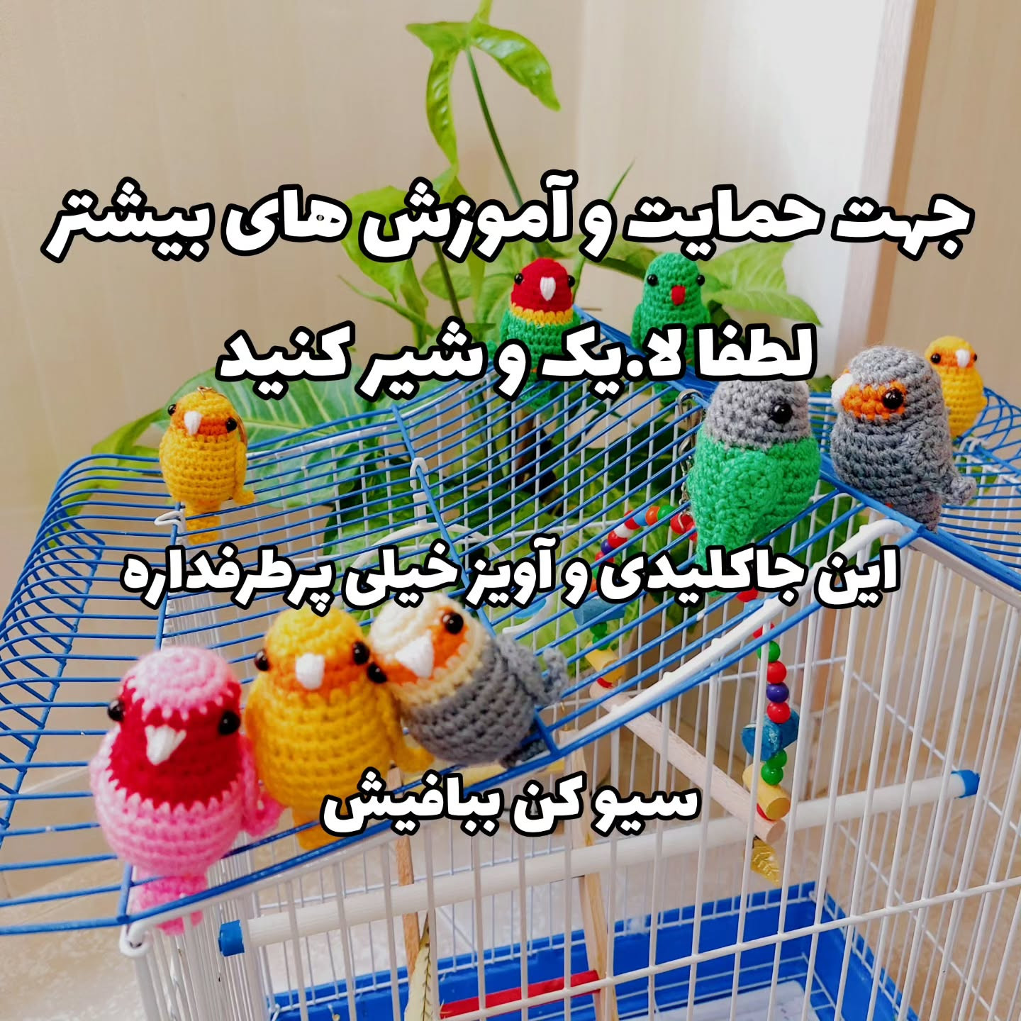 دستور بافت طوطی با قلاب