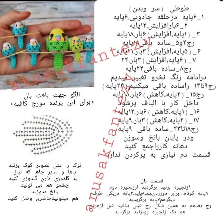 دستور بافت طوطی‌های کوچک