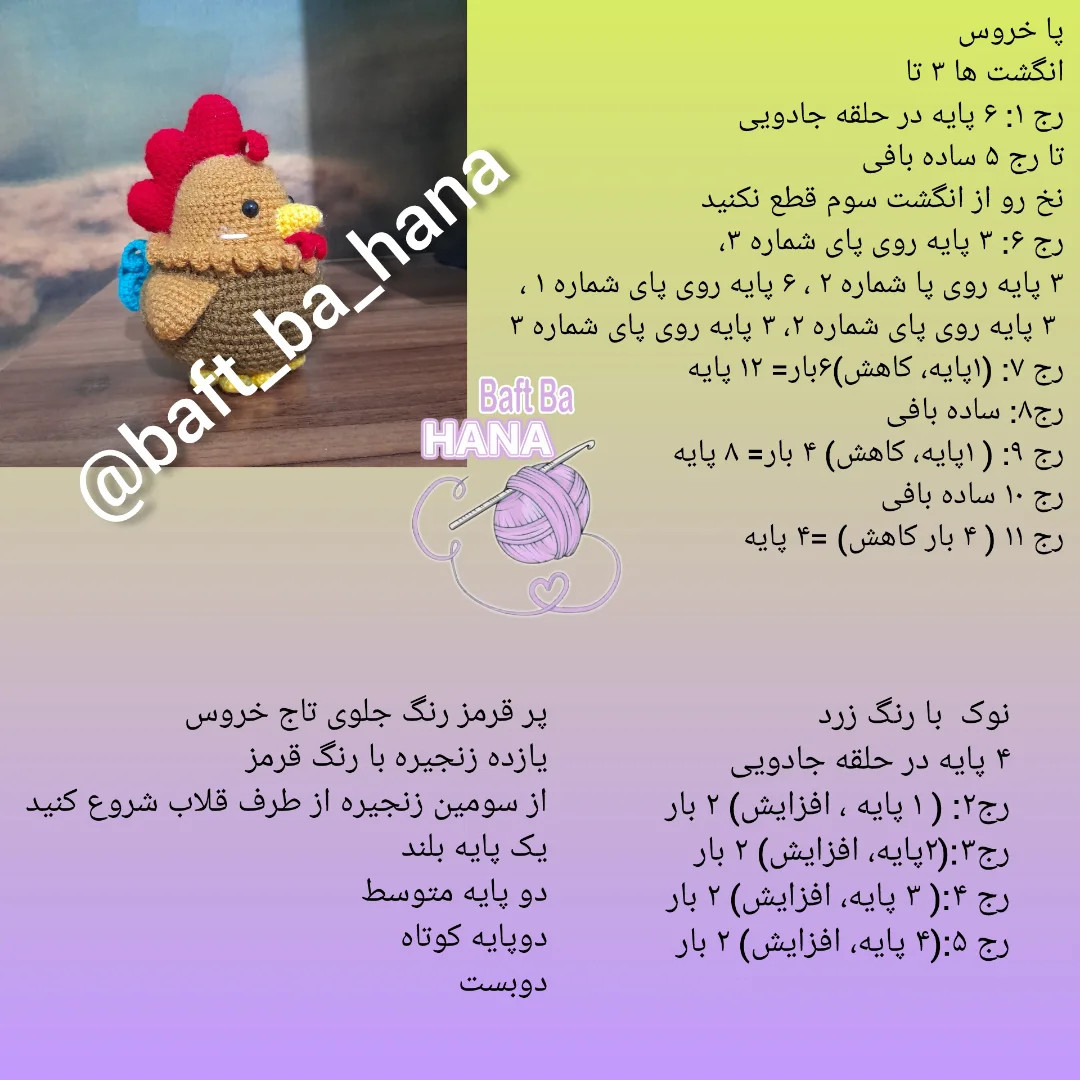 دستور رایگان بافت خروس