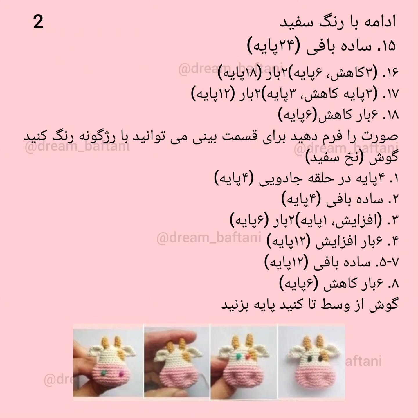 دستورالعمل بافت سنجاب گاو