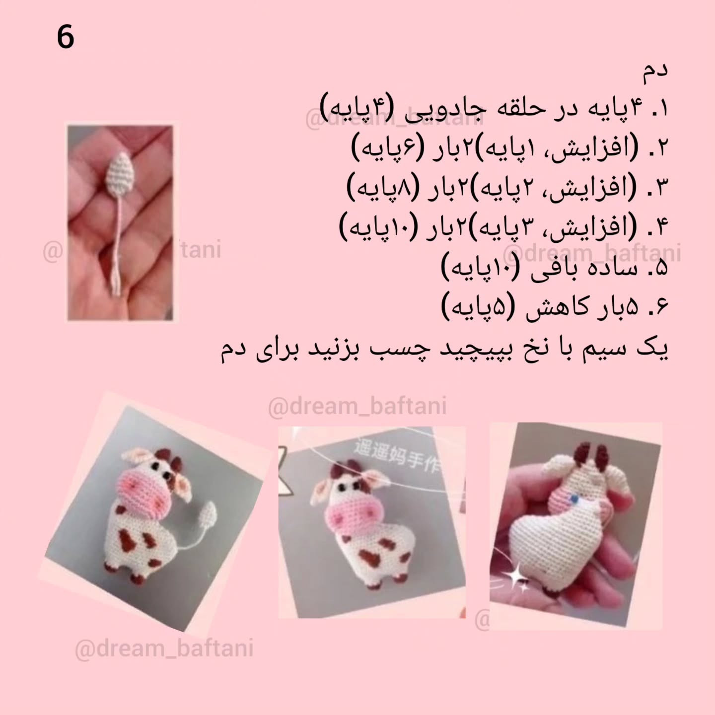 دستورالعمل بافت سنجاب گاو