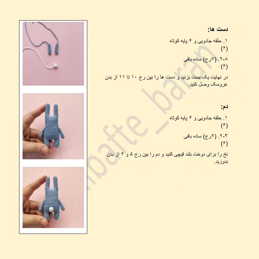 دستوربافت سرکلیدی خرگوش