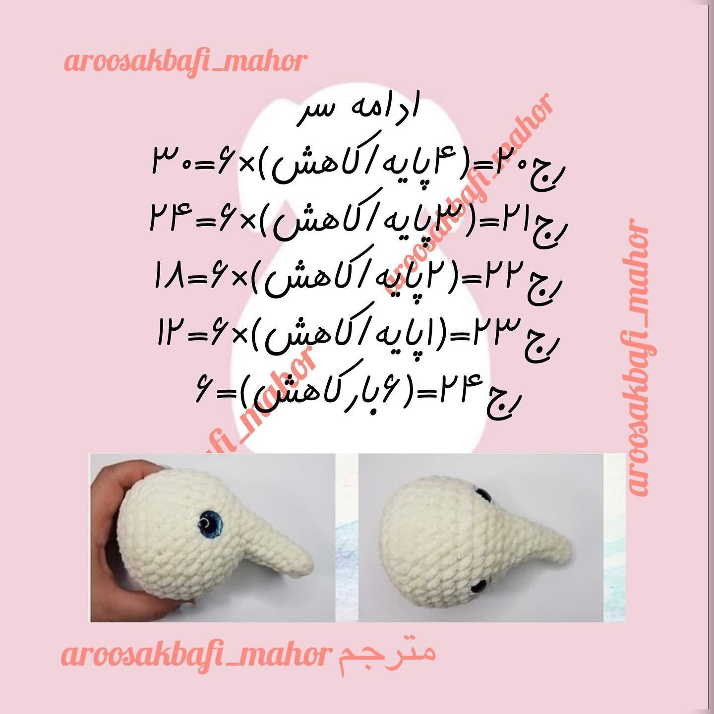 فیلی با تاج گل رنگارنگ و زیبا