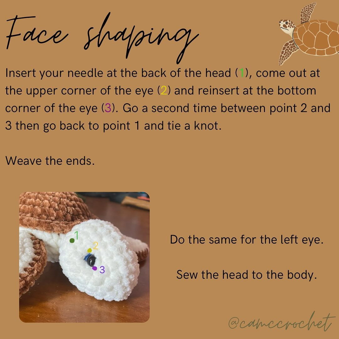 Free Crochet Pattern for Adorable Turtle Amigurumi
