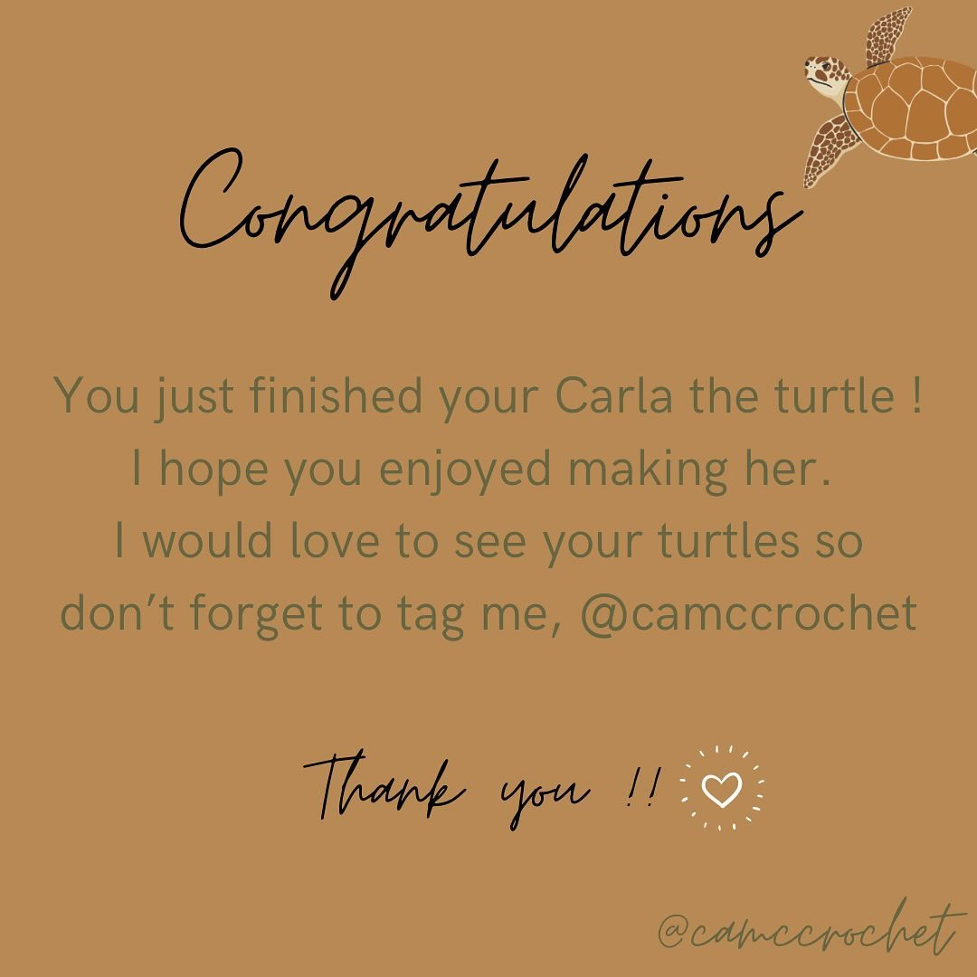 Free Crochet Pattern for Adorable Turtle Amigurumi