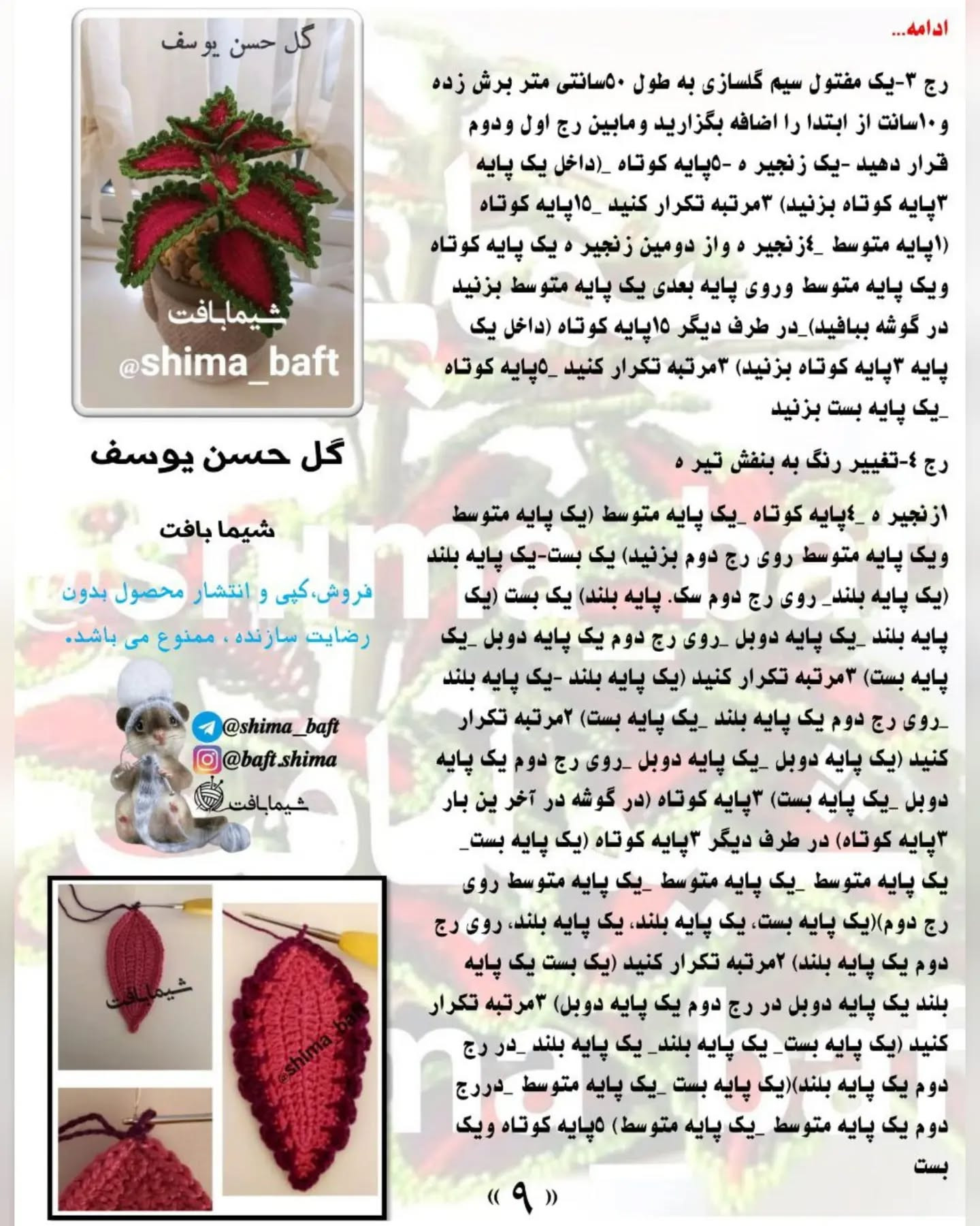 گل حسن یوسف قلاب‌بافی زیبا برای تزئین خانه