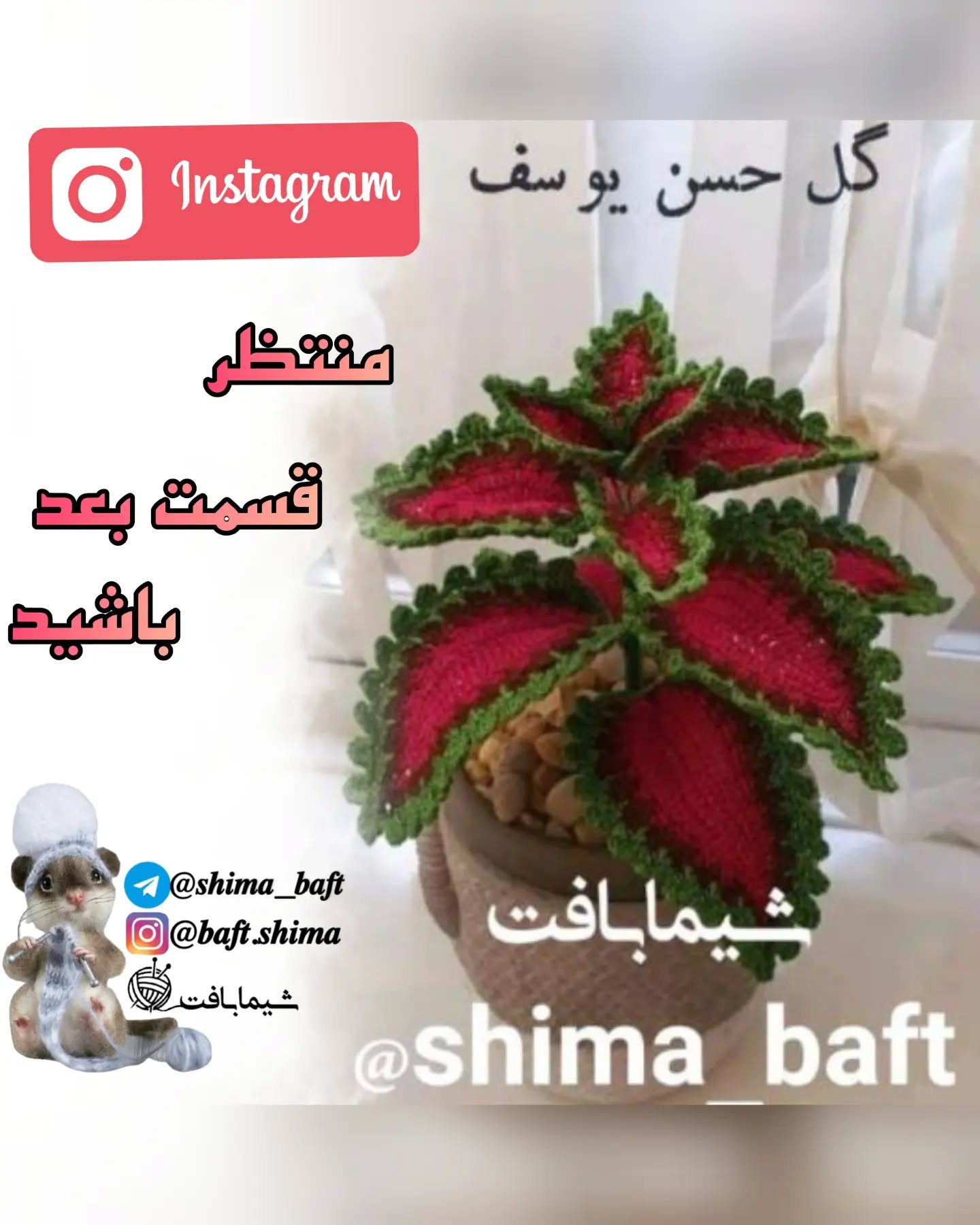 گل حسن یوسف قلاب‌بافی زیبا برای تزئین خانه