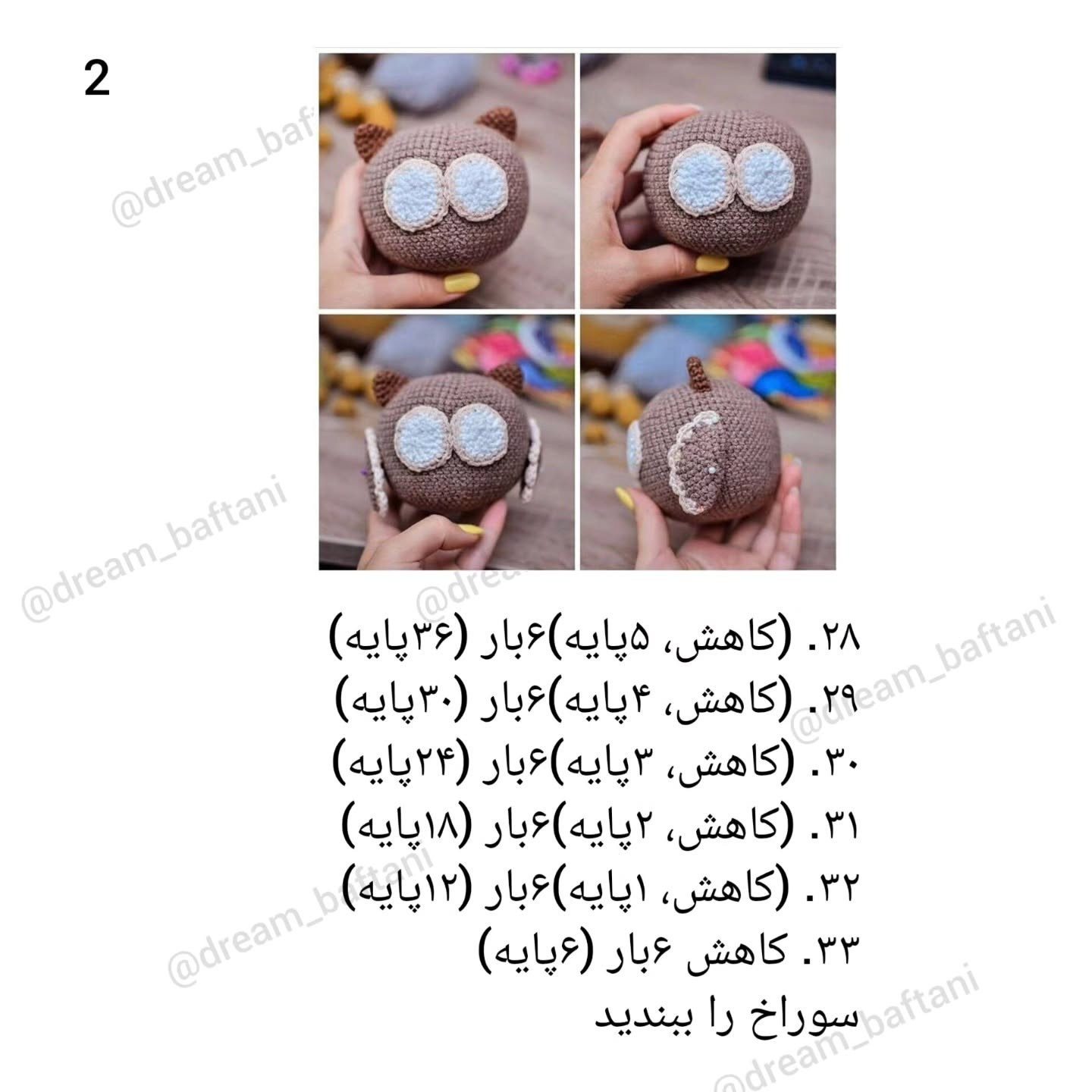 جغد فارغ التحصیل