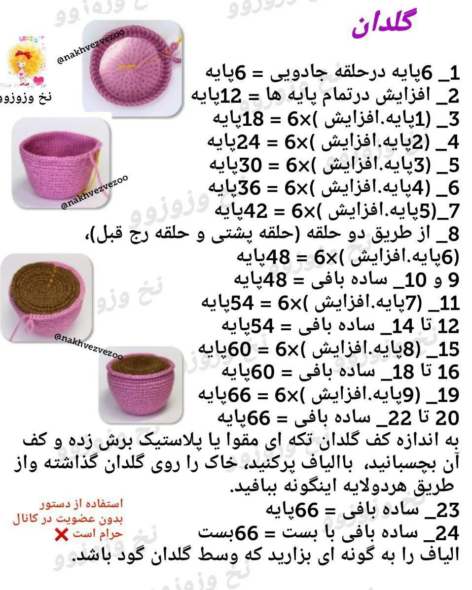 خانواده آووکادو