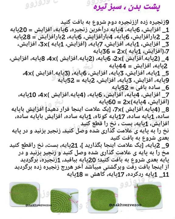 خانواده آووکادو