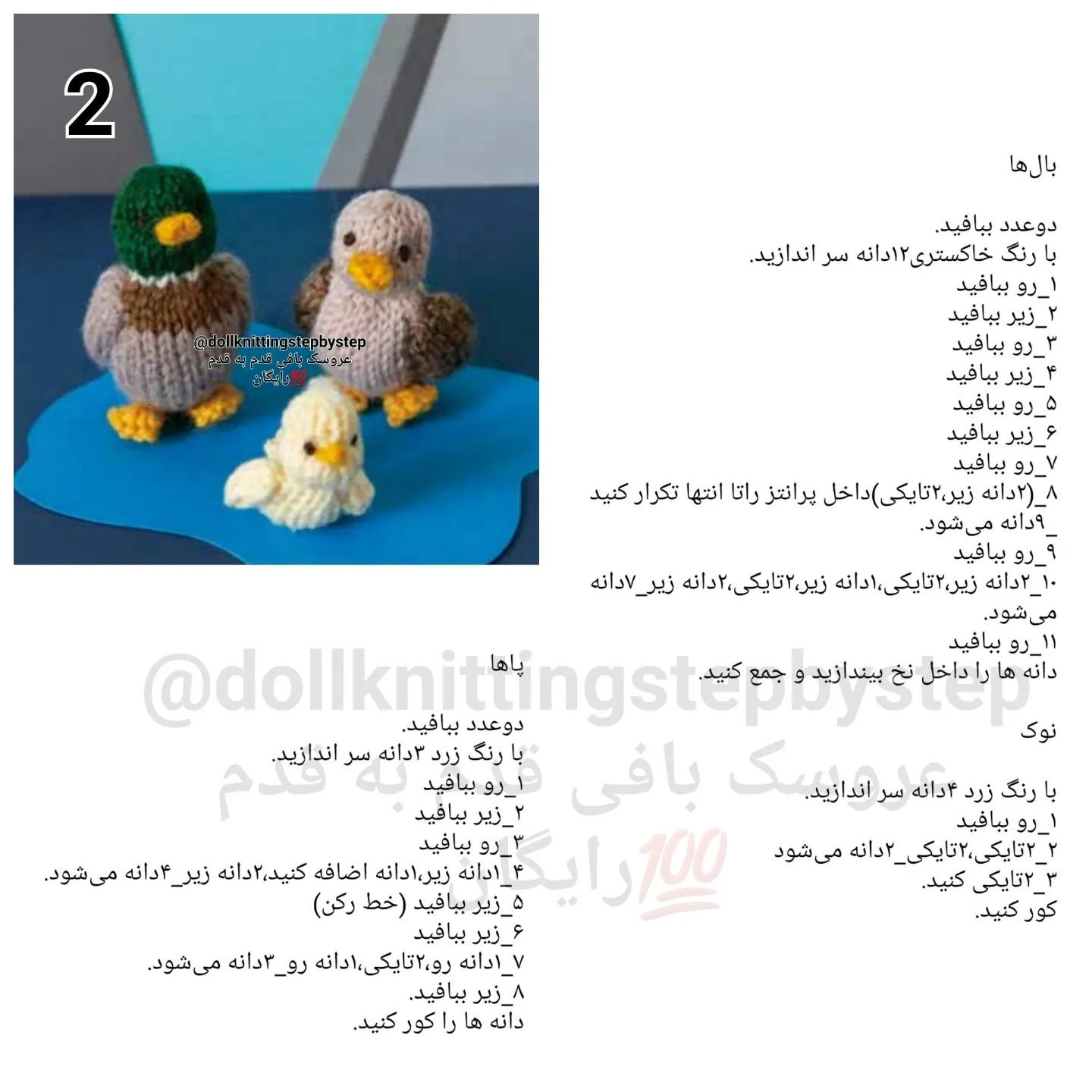 خانواده اردک کوچک