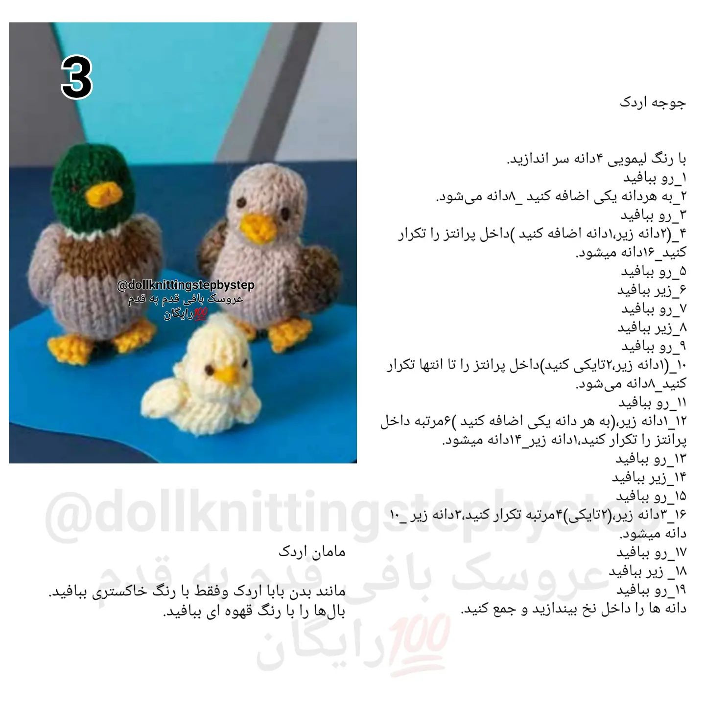 خانواده اردک کوچک