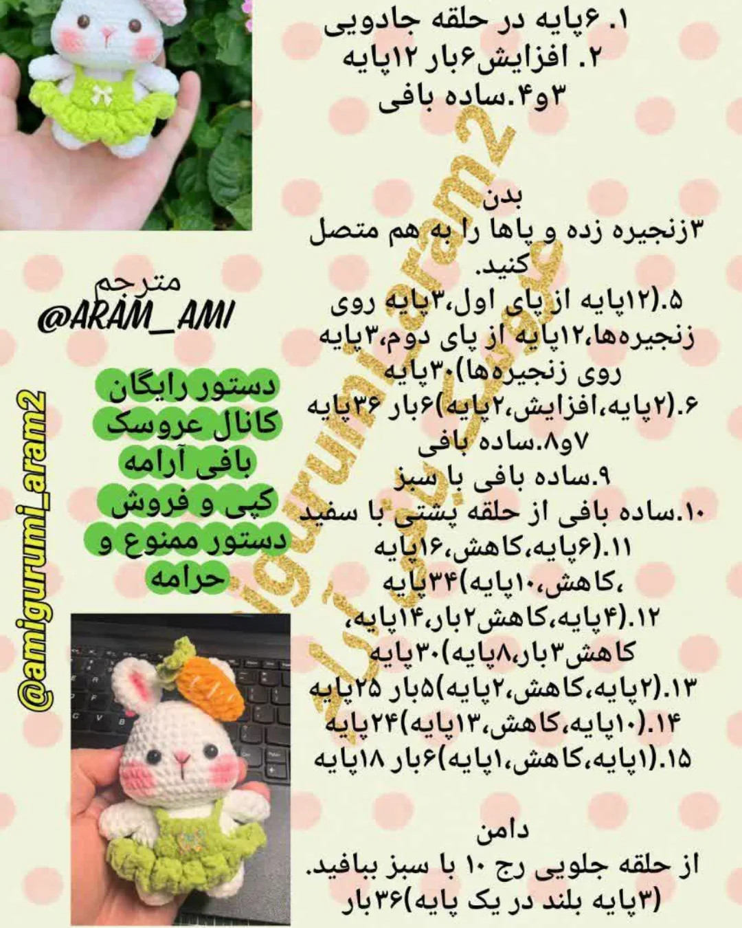 خرگوش سفید با لباس سبز زیبا
