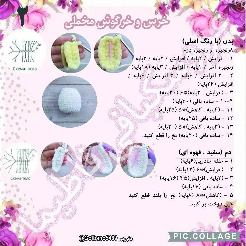 خرس و خرگوش مخملی