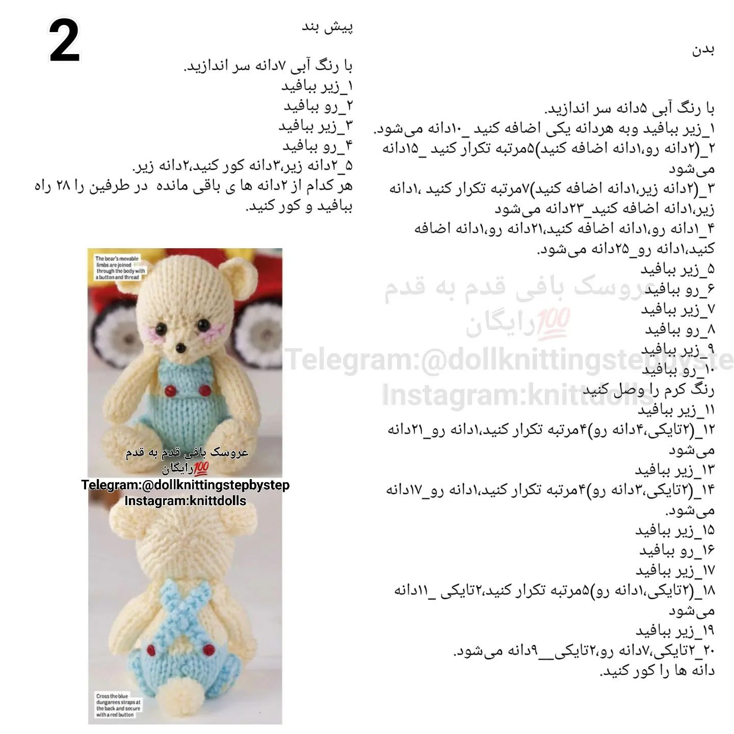 خرسی در تعطیلات