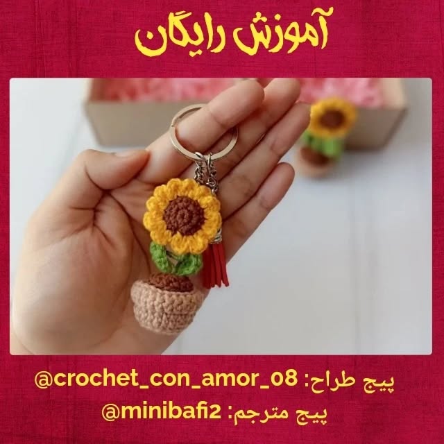 مجموعه سگ های بافتنی با کلاه های رنگی