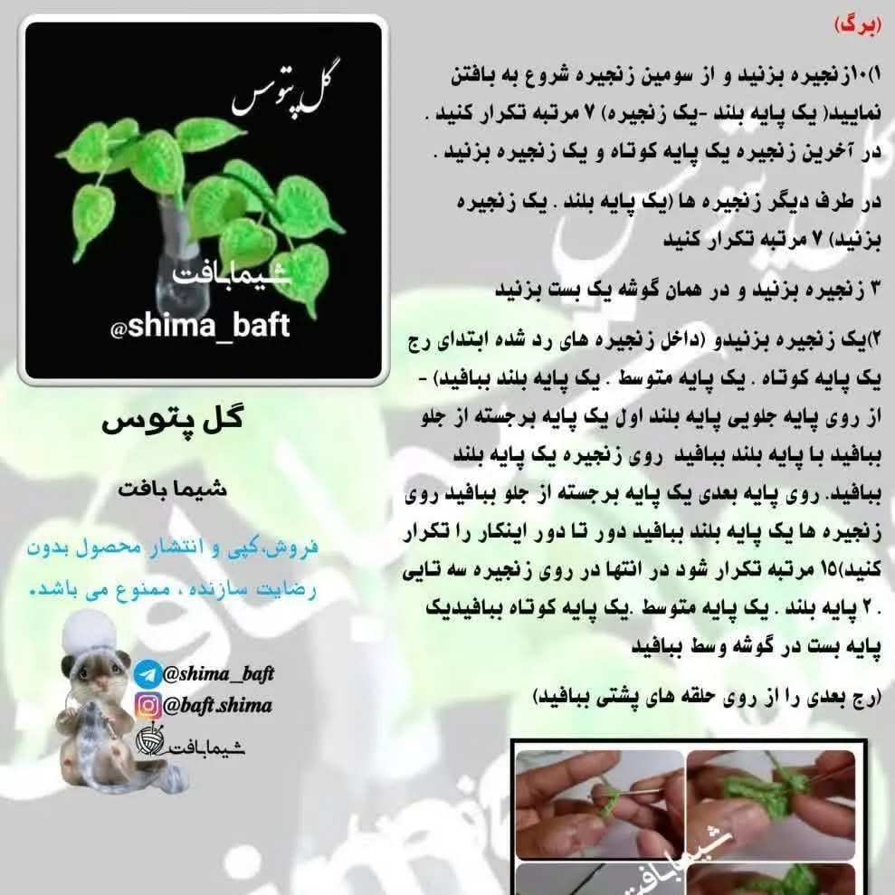 منظره‌ای زیبا از گیاه بافته شده آویز