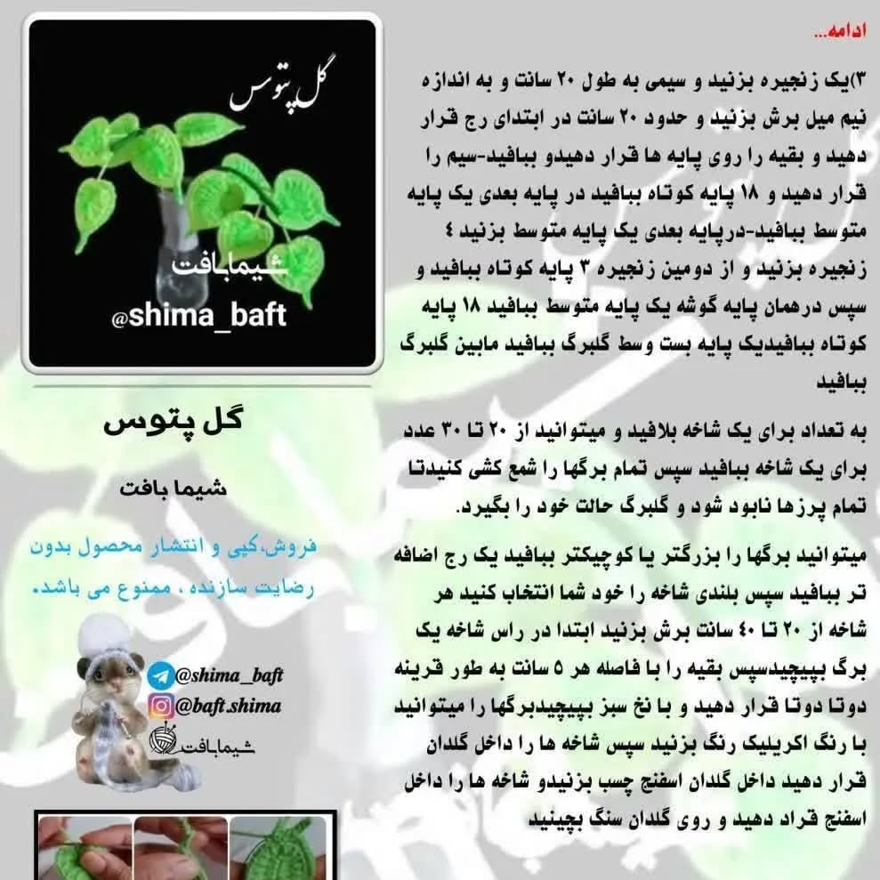 منظره‌ای زیبا از گیاه بافته شده آویز