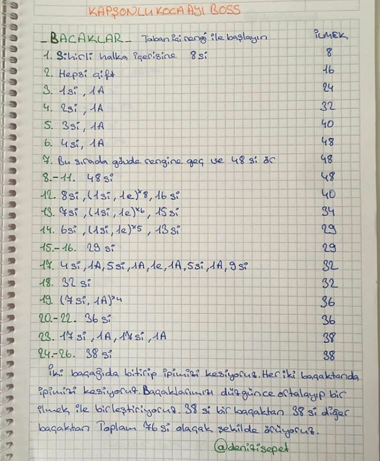 Sevimli Kapüşonlu Ayıcık Amigurumi Modeli