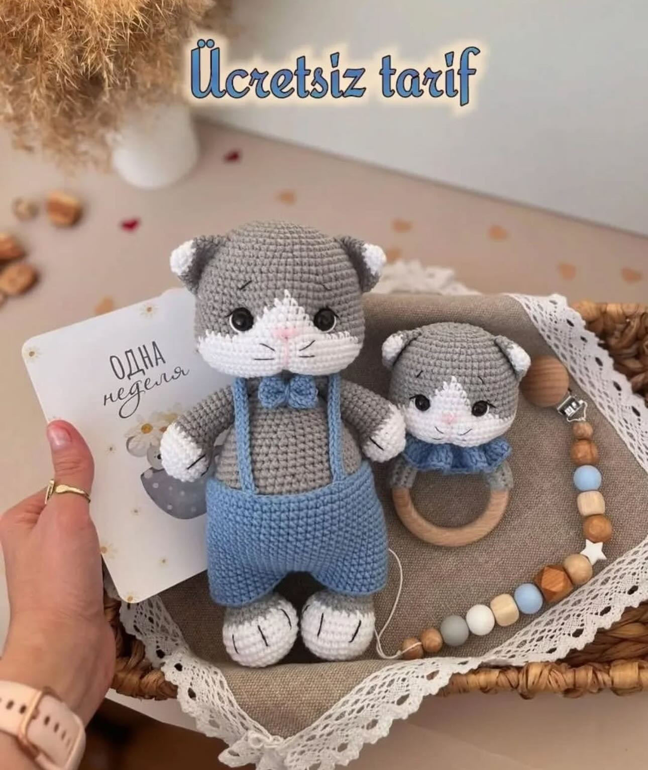 Ücretsiz Kedi Amigurumi ve Diş Kaşıyıcı Tarifi