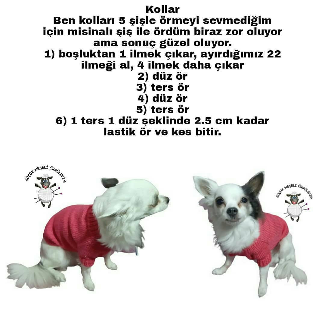 Ücretsiz Köpek Kazağı Tarifi: Adım Adım Mükemmel Örgü Rehberi