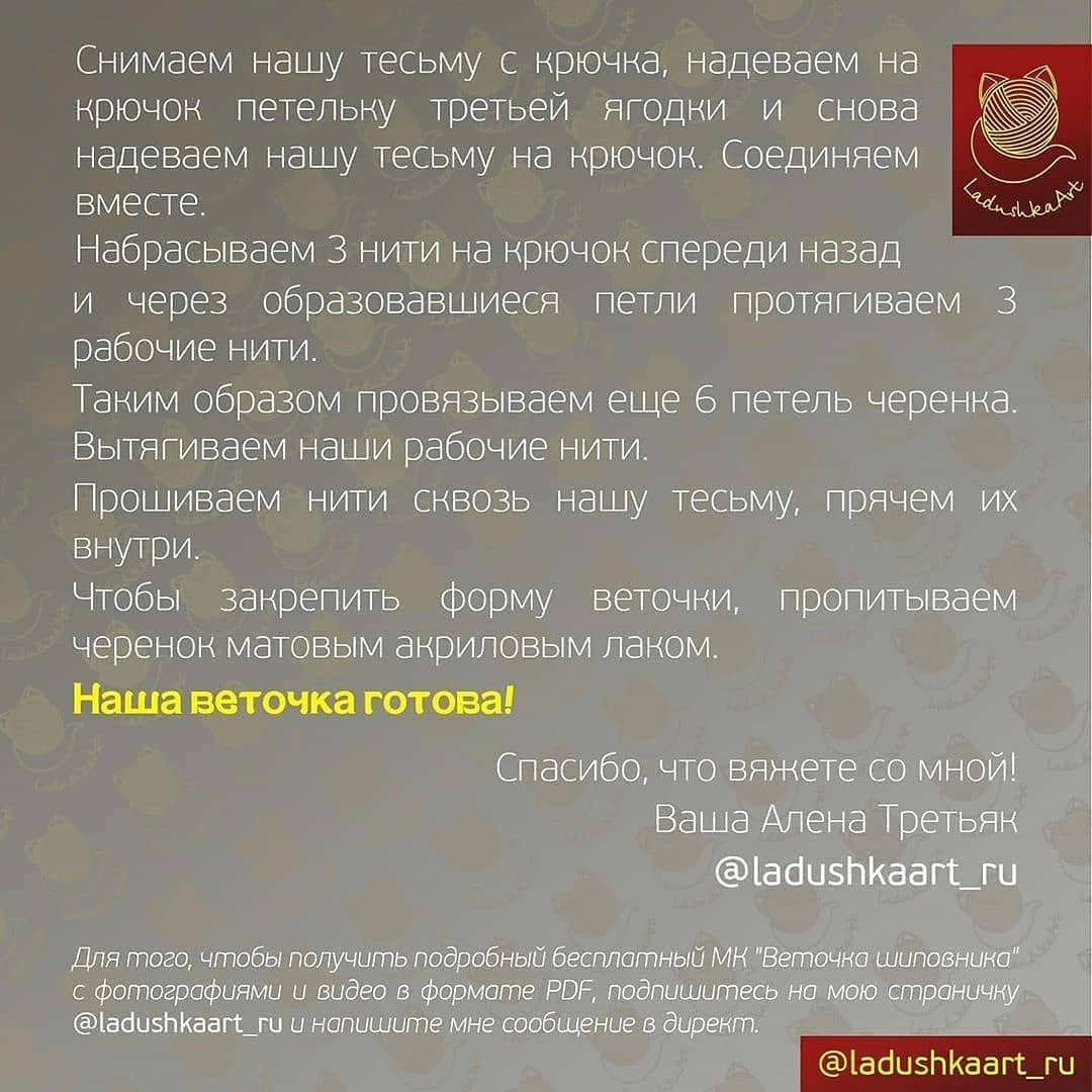 "Веточка шиповника"