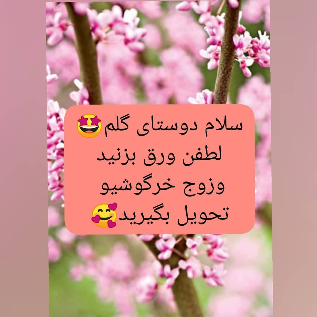 زوج خرگوشی دوست‌داشتنی برای عروسی