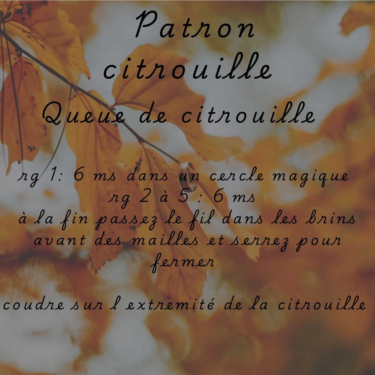 Citrouilles au crochet - Patron gratuit pour l'automne
