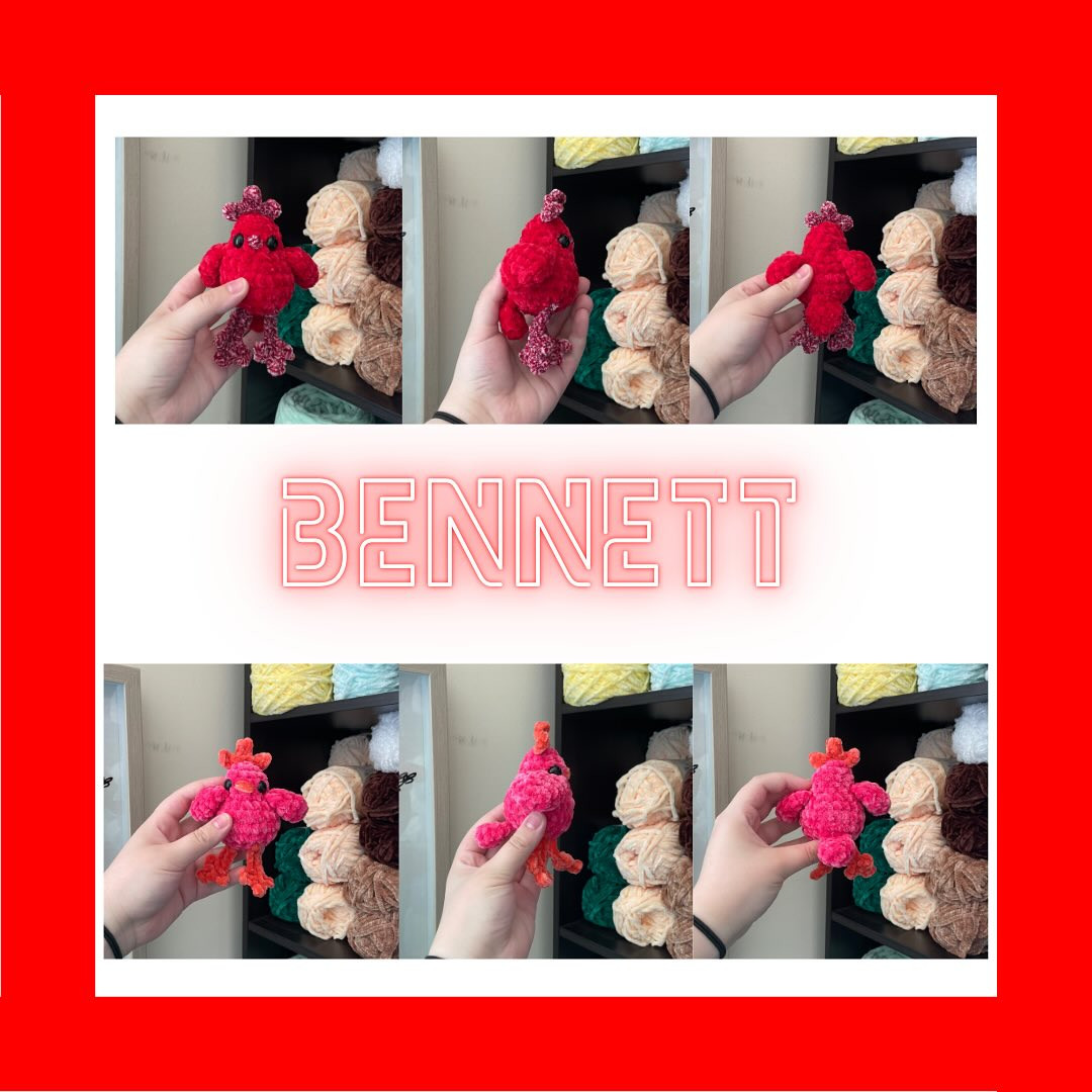 Crochet Bennett Baby Bird Pattern - Easy and No Sew Instructions