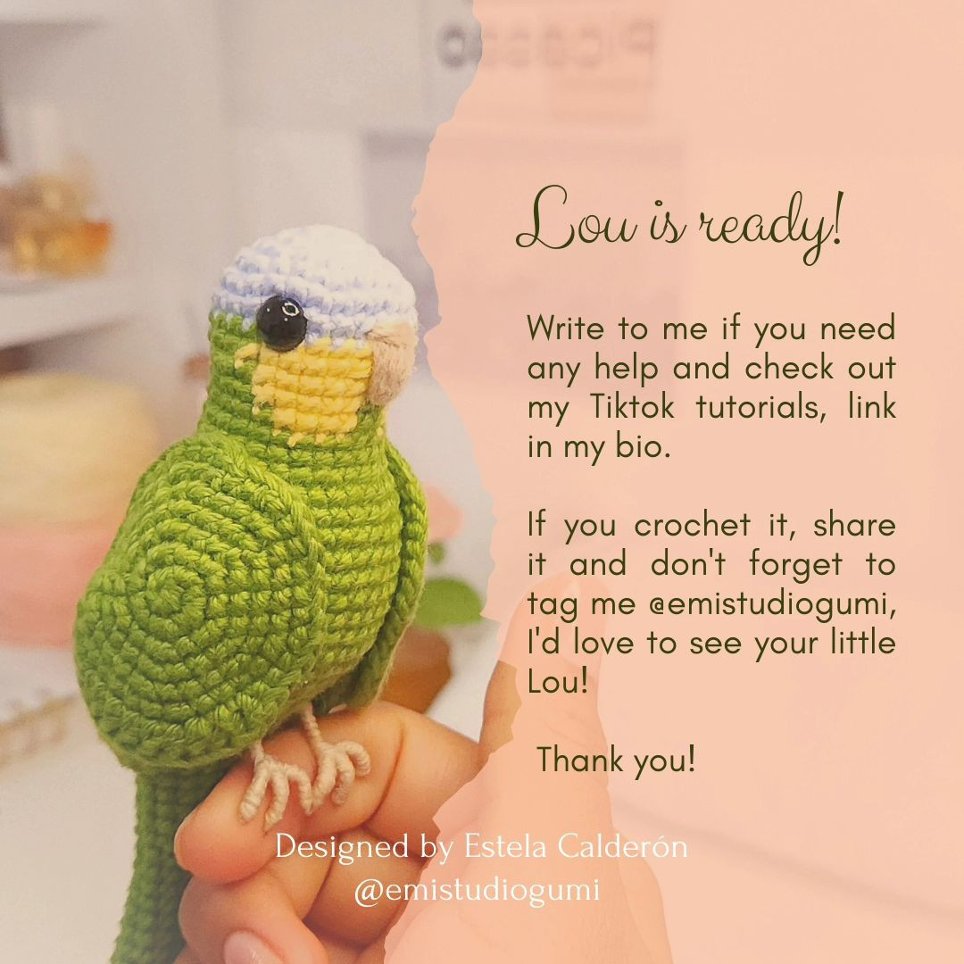 Crochet Pattern for Lou the Parrot Amigurumi by Estela Calderón