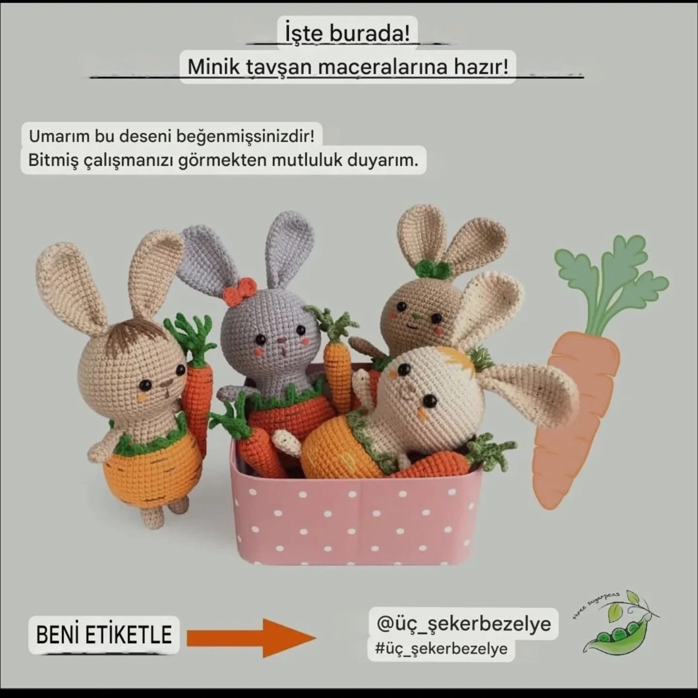 Crochet Your Own Adorable Bunny in Carrot Pants Pattern