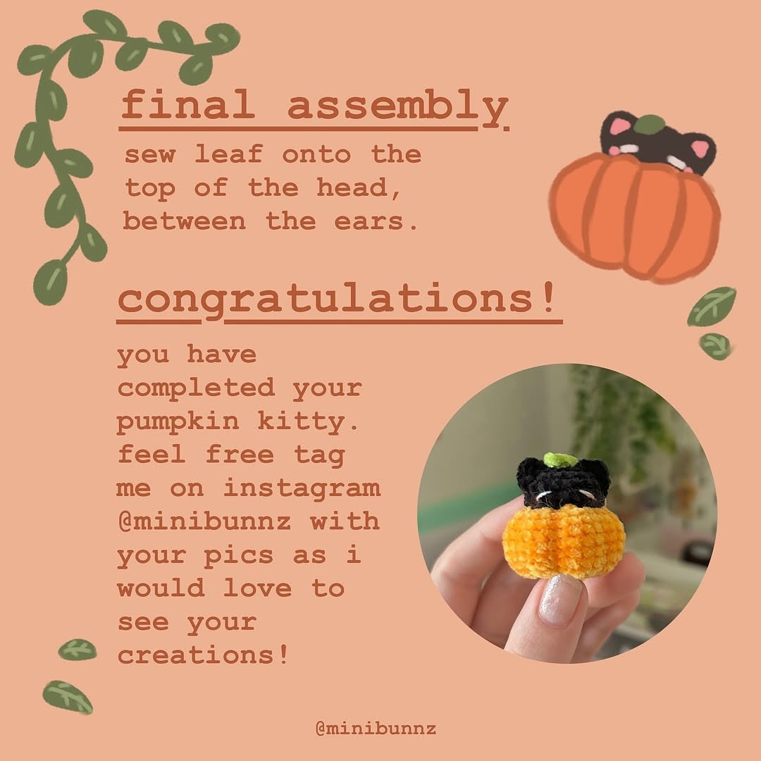 Cute Crochet Black Cat in Pumpkin - Free Pattern