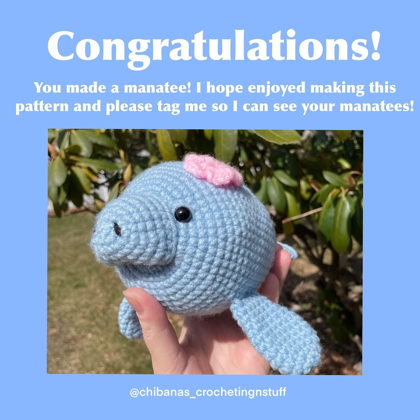 Cute Manatee Crochet Pattern for Beginners