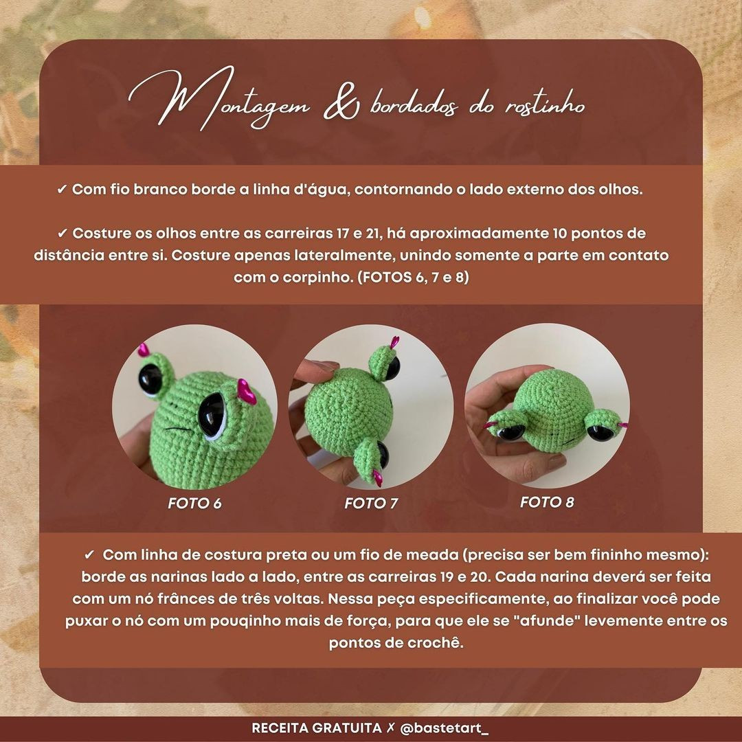 Flamel, o sapo mago: Receita de Amigurumi Gratuita