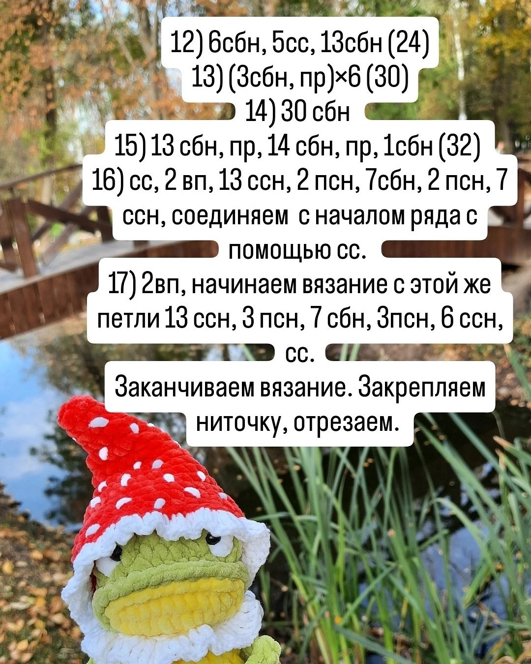 Лягушка в шляпе мухомора среди природы