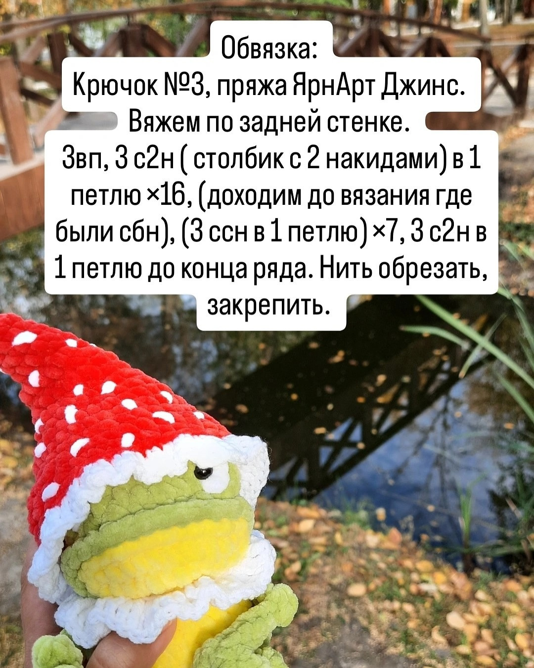 Лягушка в шляпе мухомора среди природы