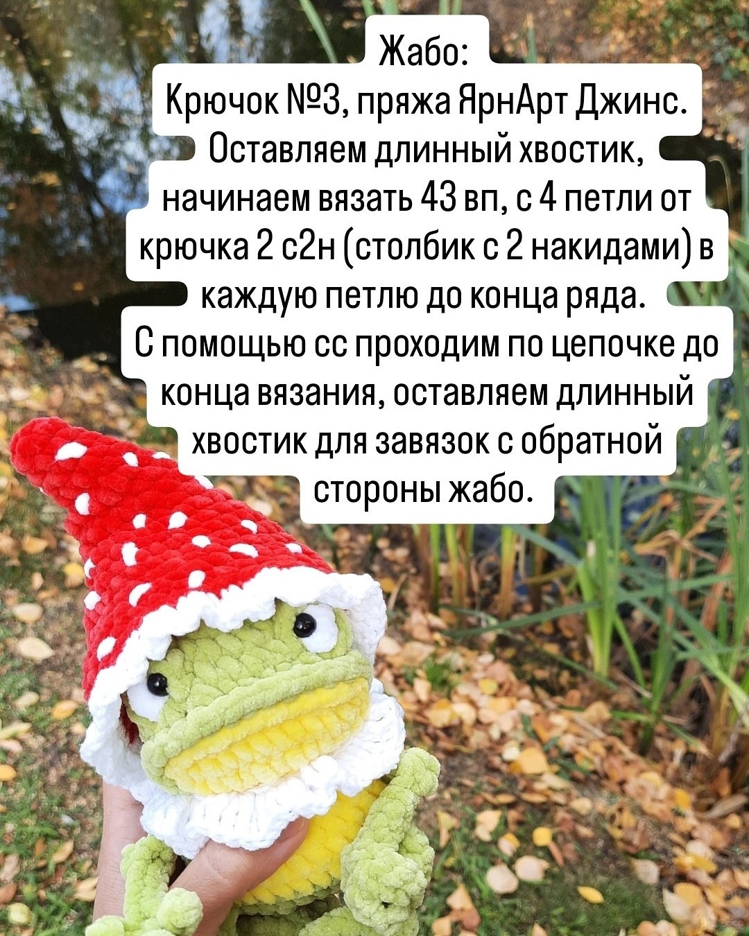 Лягушка в шляпе мухомора среди природы