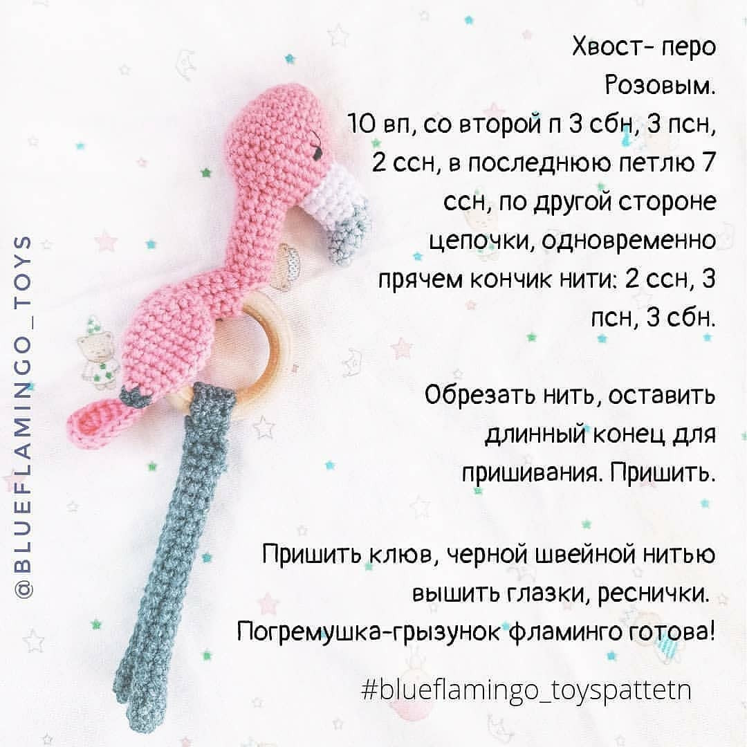 Описание грызуна Фламинго